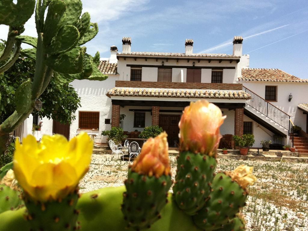 Belvilla By Oyo Cortijo Las Monjas Periana ภายนอก รูปภาพ